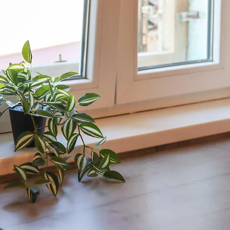 Golden Elio Appartement *