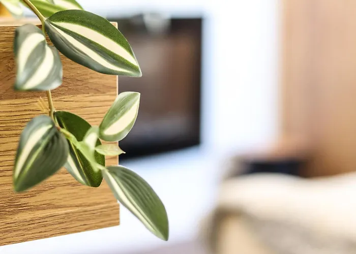 Golden Elio Appartement